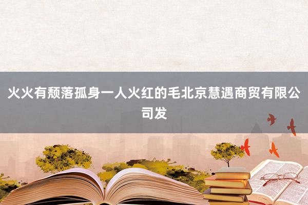 火火有颓落孤身一人火红的毛北京慧遇商贸有限公司发