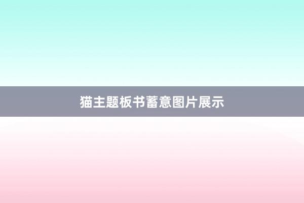 猫主题板书蓄意图片展示