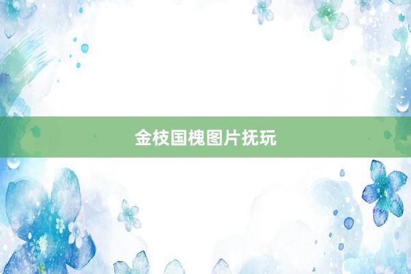 金枝国槐图片抚玩