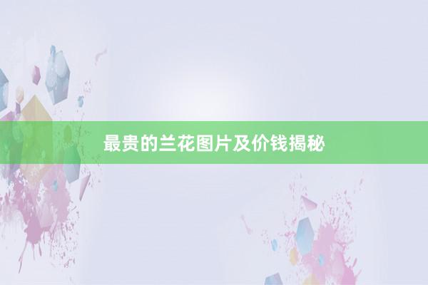 最贵的兰花图片及价钱揭秘