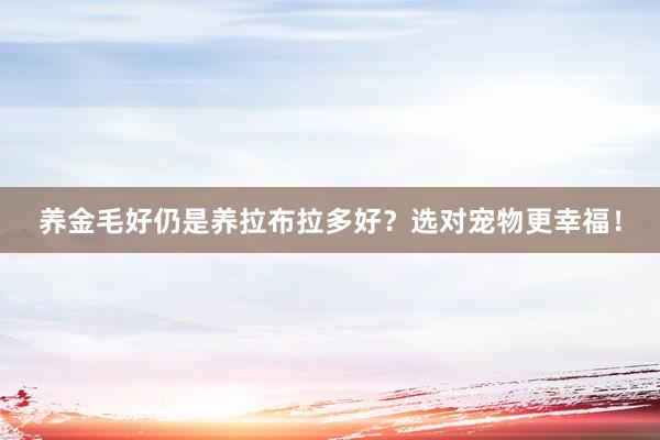 养金毛好仍是养拉布拉多好？选对宠物更幸福！